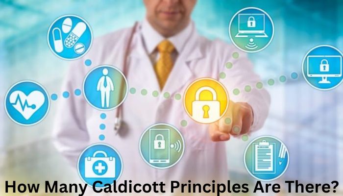 How Many Caldicott Principles Are There